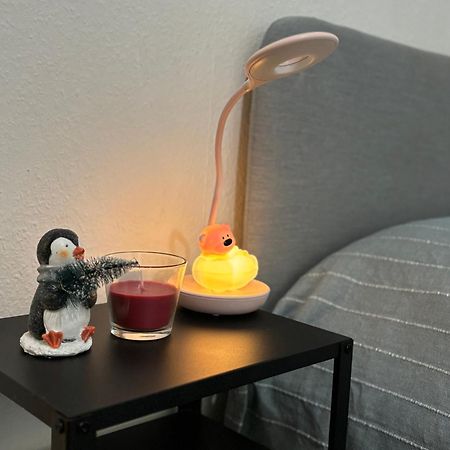 Appartement Au Coeur Straatsburg Buitenkant foto